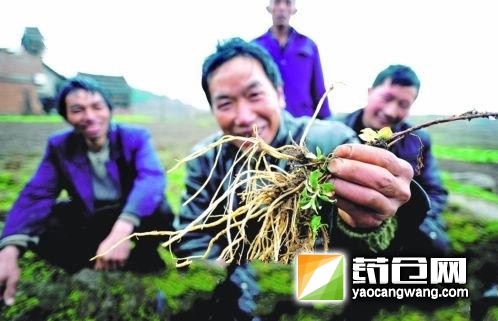 我国出台中药材规划 建设动植物保护区