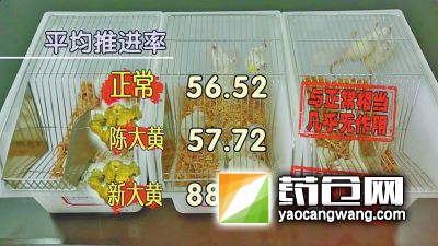 实验表明，放置时间不一样的大黄，药效差异明显。